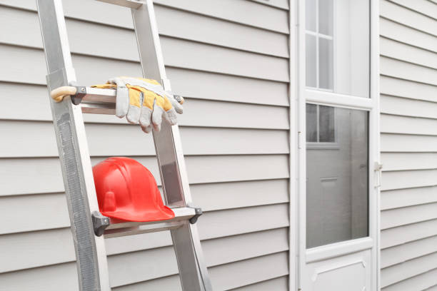 Best Hoarding Cleanup  in Brookville, IN