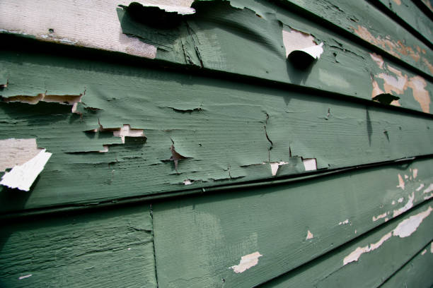 Best Foreclosure Cleanout  in Brookville, IN