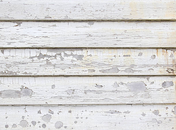 Best Construction Debris Removal  in Brookville, IN